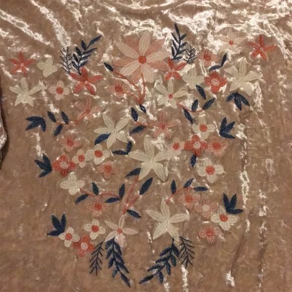 Listicle Crushed Velvet Top - Picture 6 of 6